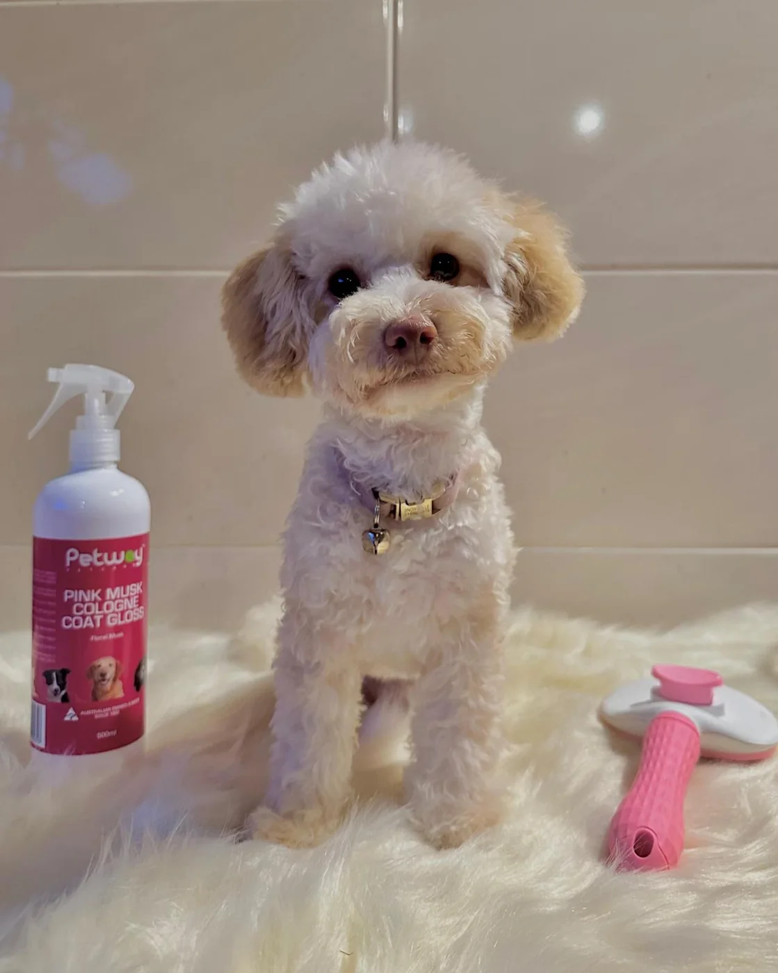 Gentle mobile dog grooming care